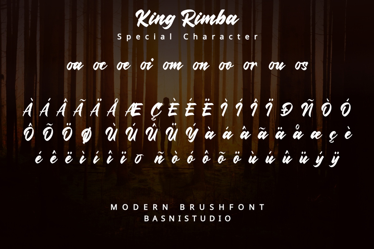 King Rimba Modern Brush Font, a Handwritten Font by Basnistudio (Photo 6 of 7)