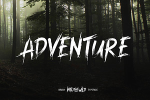 Into The Wild Typeface