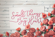 Violetta Font Pack, a Script Font by Sam Parrett (Thumbnail 6 of 8)
