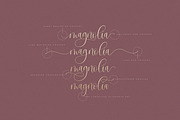 Sangria Script Font, a Script Font by The Styled Script (Thumbnail 4 of 11)