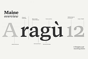 Maine -Book Antiqua Family, a Serif Font by Fenotype (Thumbnail 3 of 11)