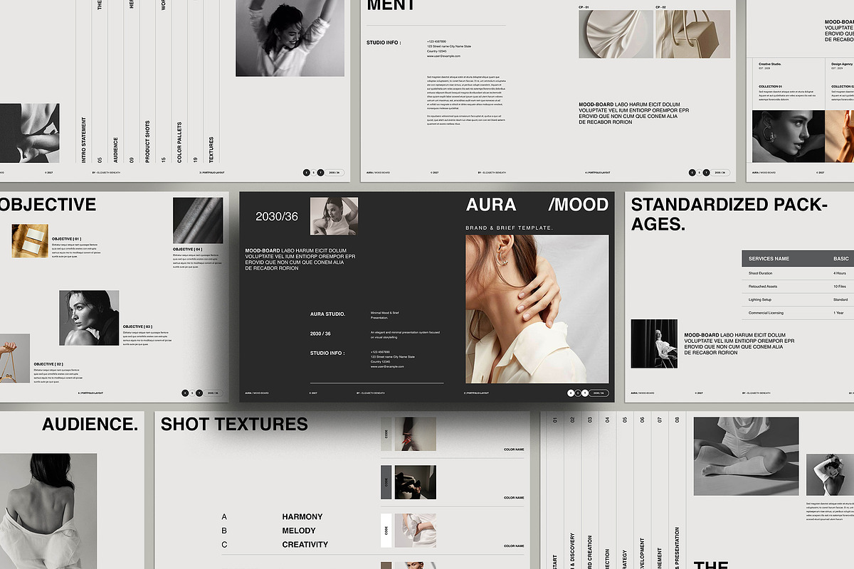 Aura Mood & Brief Template | Canva, a Presentation Template by TemplateFolio-Shop (Photo 2 of 13)