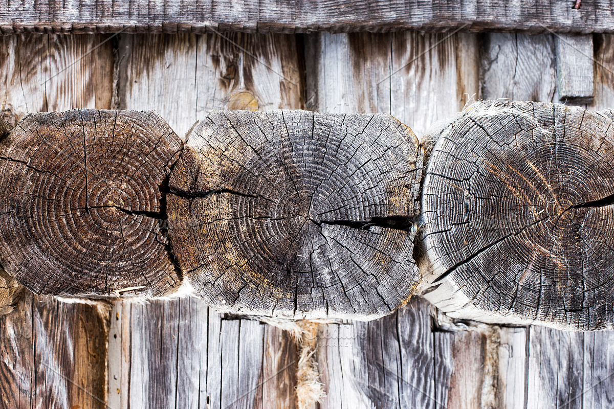 Old Wood Texture Wood Log Wall, a Texture Graphic by VetalStock (Photo 8 of 9)