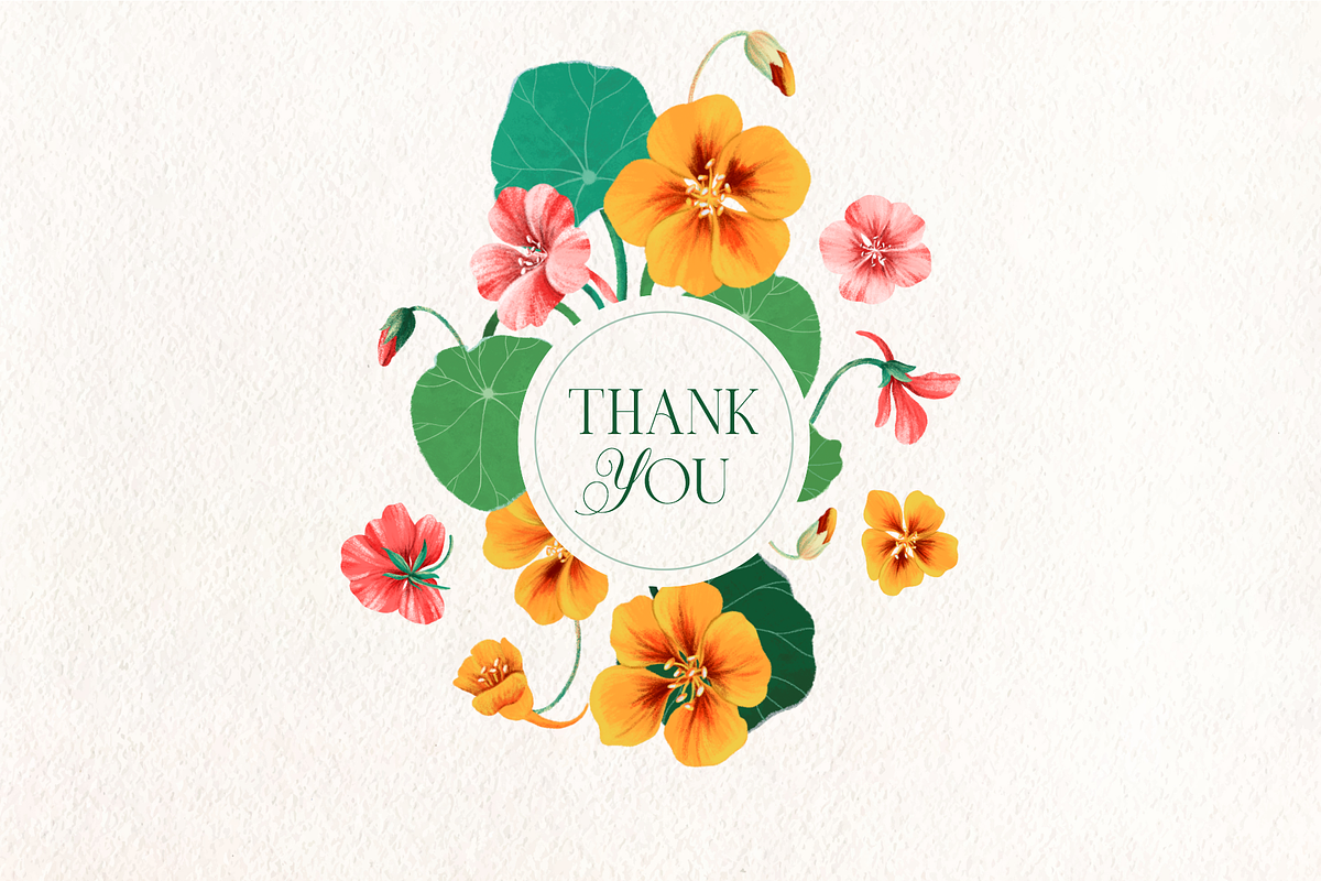 Nasturtium summer flowers clipart, a Decorative Illustration by Harmony Draws (Photo 8 of 8)