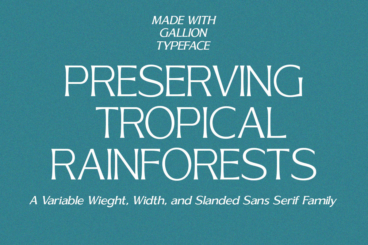Gallion Pro, a Serif Font by MasaType (Photo 2 of 11)