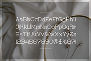 Corina Elegant | Modern Slab Serif, a Slab Serif Font by gracetype_studio (Thumbnail 10 of 12)