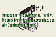 Dharma Gothic P, a Sans Serif Font by Dharma Type (Thumbnail 4 of 6)