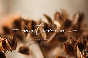 Madelisse – Elegant Signature Font, a Script Font by Typoraith Co (Thumbnail 6 of 10)
