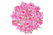 Watercolor Pink Roses and Leaves, a Templates & Theme by Corner Croft (Thumbnail 3 of 3)