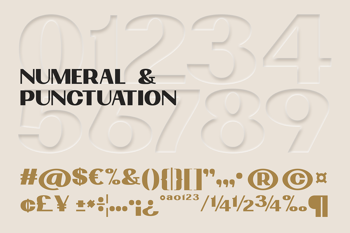 Boldvia Black - Modern Sans Serif, a Sans Serif Font by Brand_Hero (Photo 5 of 14)