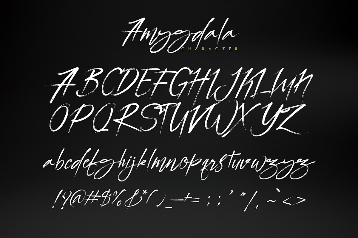 Amygdala, a Script Font by Fontsgood (Photo 8 of 8)