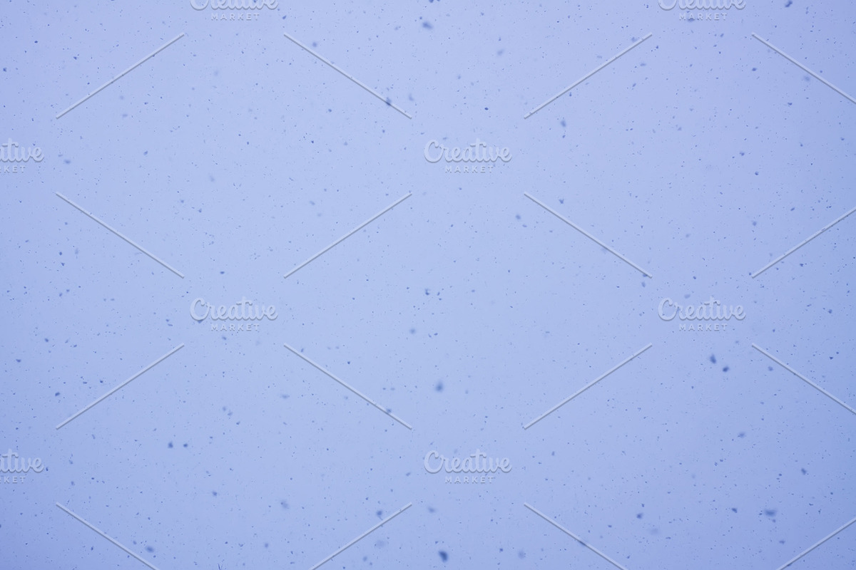 Snowfall textures and overlays, a Nature Photo by pictures for you (Photo 3 of 15)