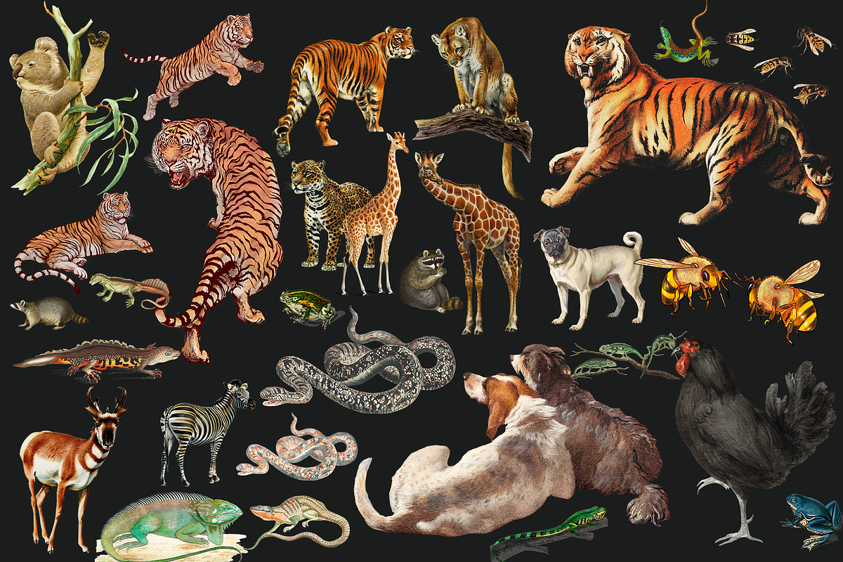 SALE! Collage Art Creator Pack 1400+, an Animal Illustration by Lilithcollageart (Photo 5 of 19)