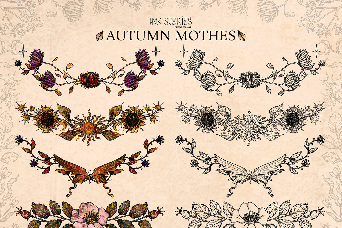 Autumn Moths & Dried Botanicals, an Animal Illustration by Ink Stories (Photo 17 of 18)