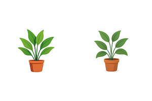 Indoor plants in terracotta pots, a Nature Photo by ZinetroN