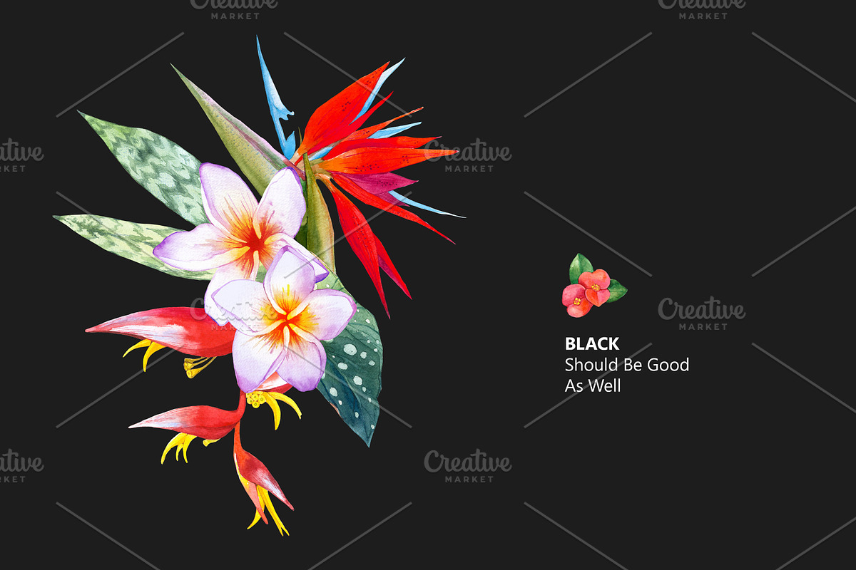 Tropical Flower Set, an Illustration by Mona Monash (Photo 7 of 12)