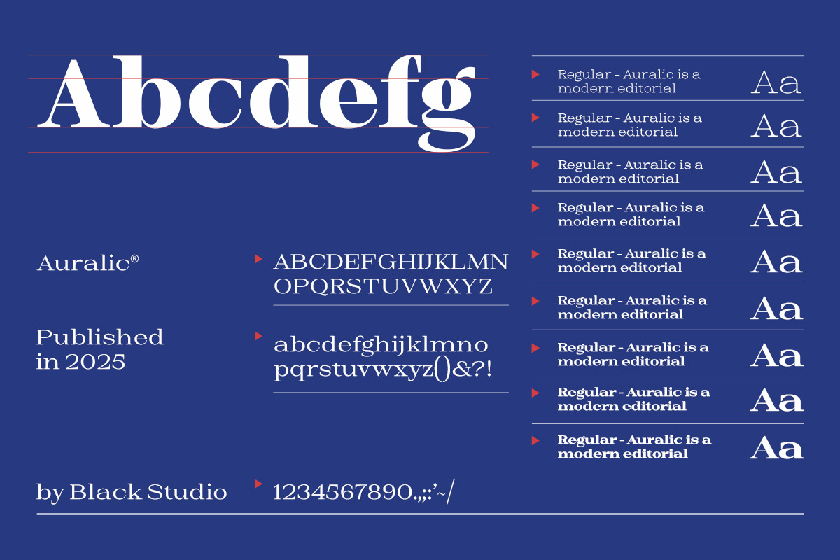 Auralic, a Serif Font by Black Studio (Photo 3 of 18)