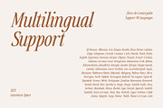 Countryside - A Modern Serif Family, a Serif Font by Megi Satyo Widodo (Thumbnail 19 of 22)