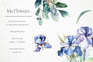 Watercolor iris PNG overlays