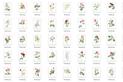 Wedding Invitation Ultimate Bundle, an Invitation Template by EvitePapery (Thumbnail 8 of 10)