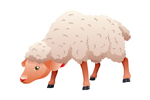 Small cartoon sheep. Lamb flat, an Animal Illustration by the8monkey