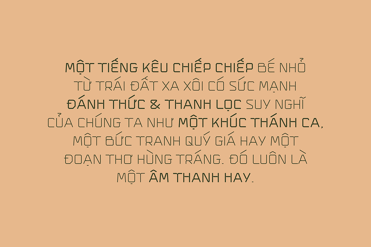 BEN - Typeface, a Sans Serif Font by Dat Do (Photo 9 of 20)