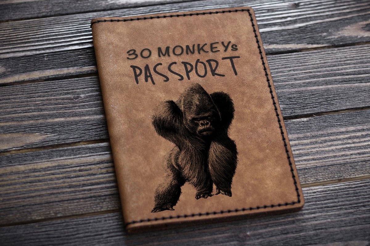 30 wild monkey silhouette vector, an Animal Illustration by AnastasiyaOleynik (Photo 1 of 6)