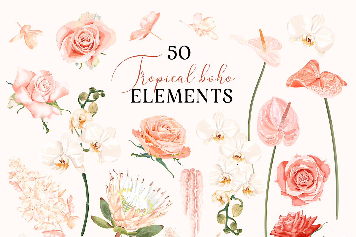 Tropical Boho Vector Collection, an Illustration by Dina Tychynska, image size:1200x800