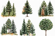 Watercolor Tree Clipart Bundle, an Illustration by Libby Wishes (Thumbnail 2 of 6)