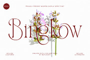 Bingkow, a Serif Font by Muflieart (Thumbnail 1 of 8)