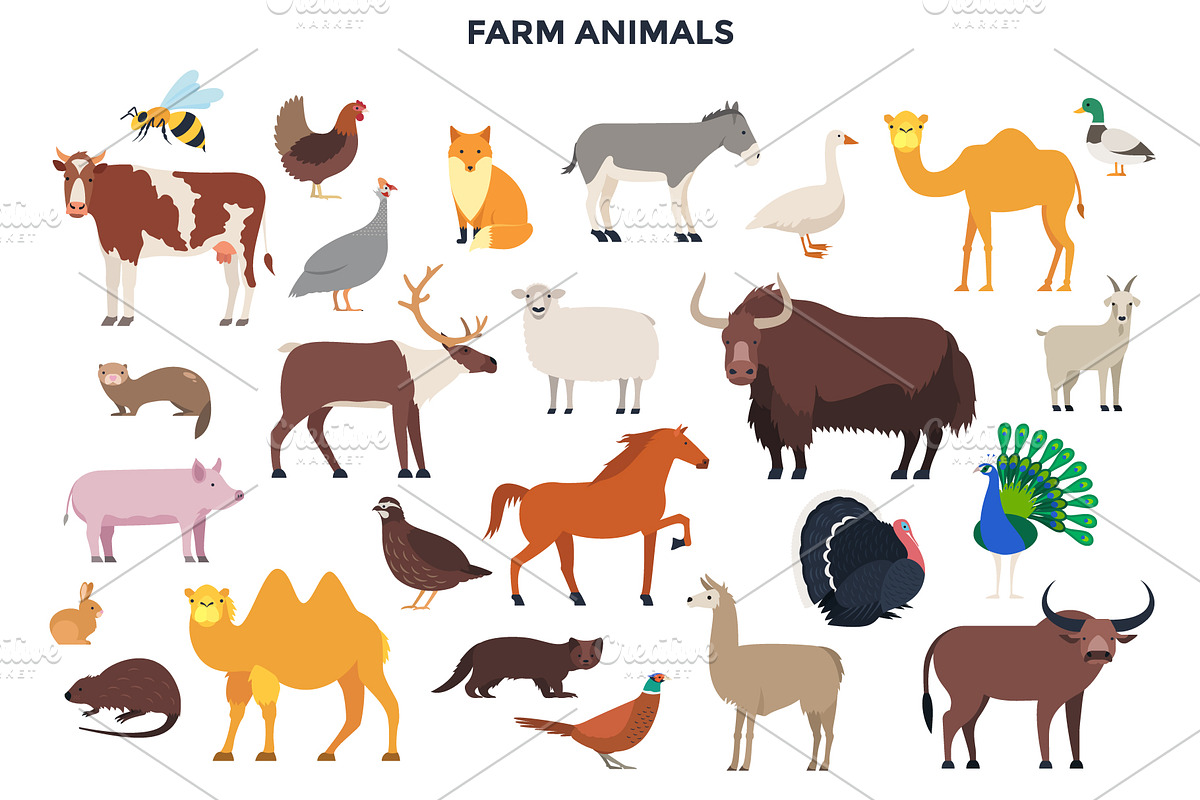 187 Animals Of The World, an Animal Illustration by Andrew Kras Design (Photo 10 of 15)