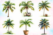 Watercolor Coconut Tree Clipart PNG, an Illustration by Canvas Craft (Thumbnail 2 of 4)