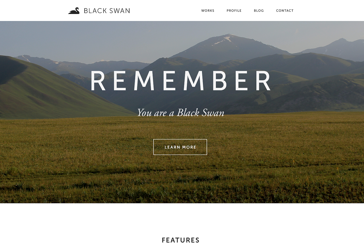Black Swan Portfolio Template(PSD), an App Template by UI Store (Photo 2 of 5)