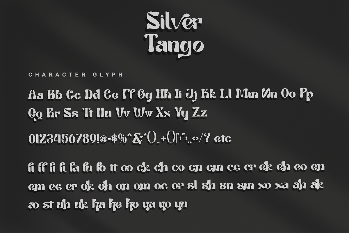 Tango Silver, a Serif Font by Letterara (Photo 8 of 10)