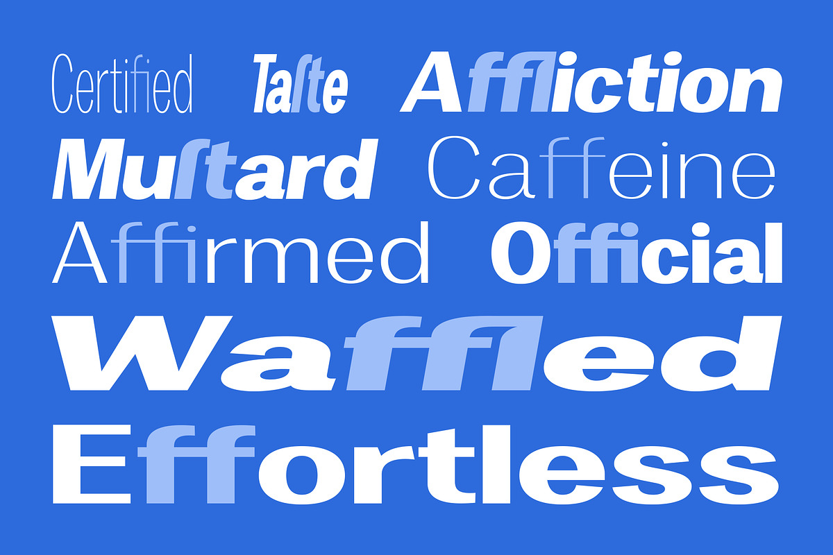 Vegora Display Sans, a Sans Serif Font by Fargun Studio (Photo 12 of 15)
