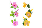 Set. Hibiscus pink and yellow., an Illustration by SokolovaSv (Thumbnail 3 of 3)