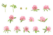 Vector object brushes. Clover, a Brush Add-On by Peolla (Thumbnail 5 of 14)
