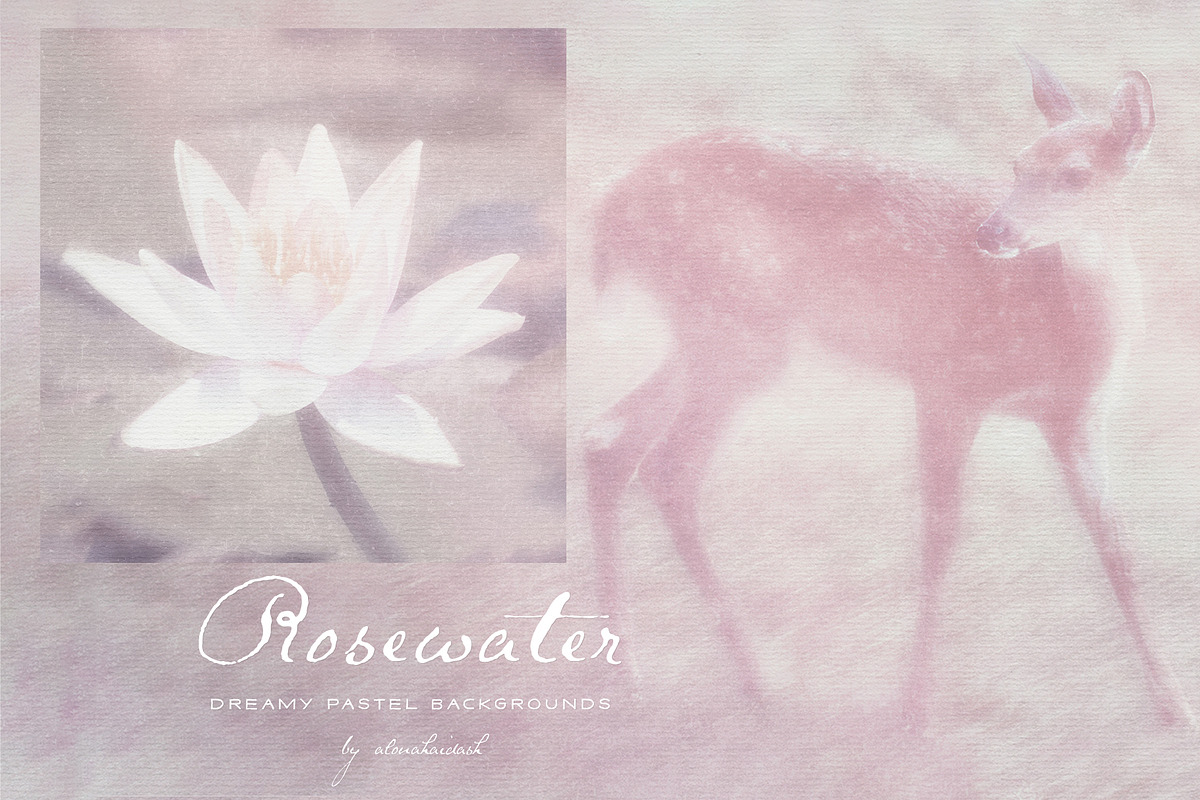 Rosewater Dreamy Pastel Backgrounds, a Background Graphic by alonahaidash (Photo 1 of 16)