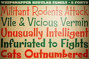 Whipsnapper Family, a Font by Pink Broccoli (Thumbnail 1 of 3)