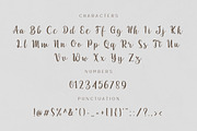 Eternal Lights, a Script Font by Patria Ari (P4tcreativa) (Thumbnail 9 of 11)