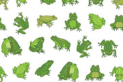16 Frogs, an Animal Illustration by GooseFrol (Thumbnail 7 of 11)