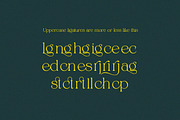 Alpinecia, a Serif Font by Pista Mova (Thumbnail 16 of 19)