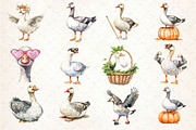 Silly Goose Sublimation Clipart, an Illustration by Dream Creation (Thumbnail 4 of 4)