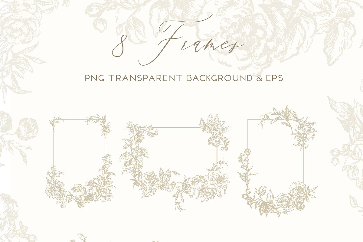 Vintage Peony - Flowers Line Art, a Decorative Illustration by BlumenSoul (Photo 6 of 9)