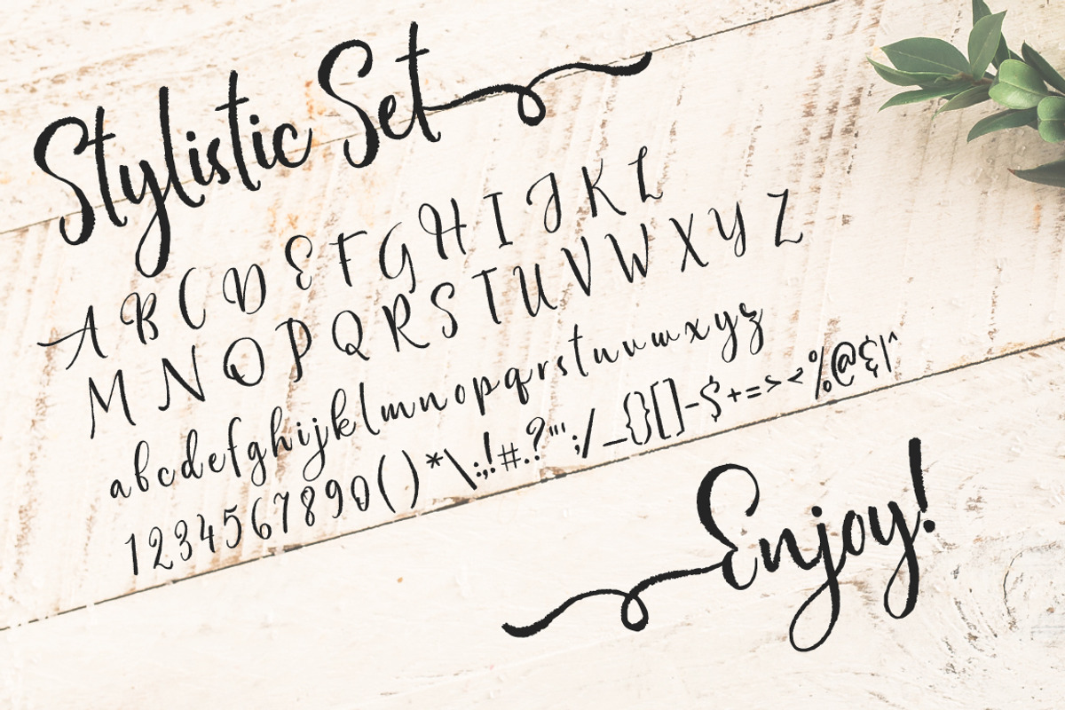 Bottomland • Ink Script preview 8