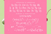 Shelter Melody Handwritten Script, a Script Font by stylishtype.co (Thumbnail 18 of 20)