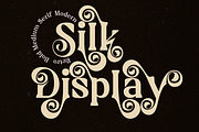 Silk Display, a Font by LuhopCreative (Thumbnail 6 of 17)