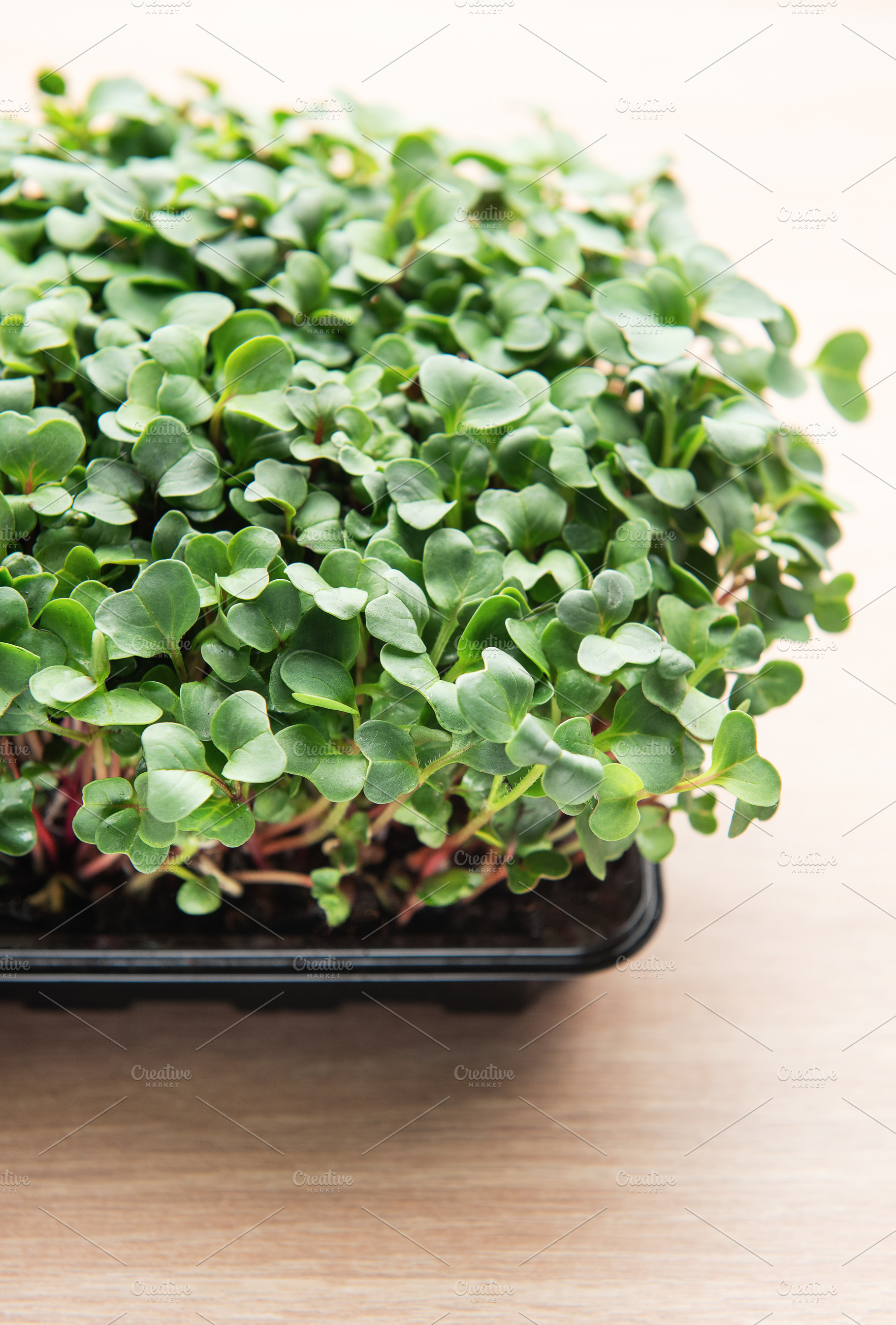 Microgreens growing in a black plastic container on a wooden tab, a Food & Drink Photo by Olena Rudo