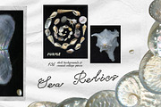 Sea Relics: Objects & Backgrounds, an Object Graphic by Purple (Thumbnail 5 of 14)