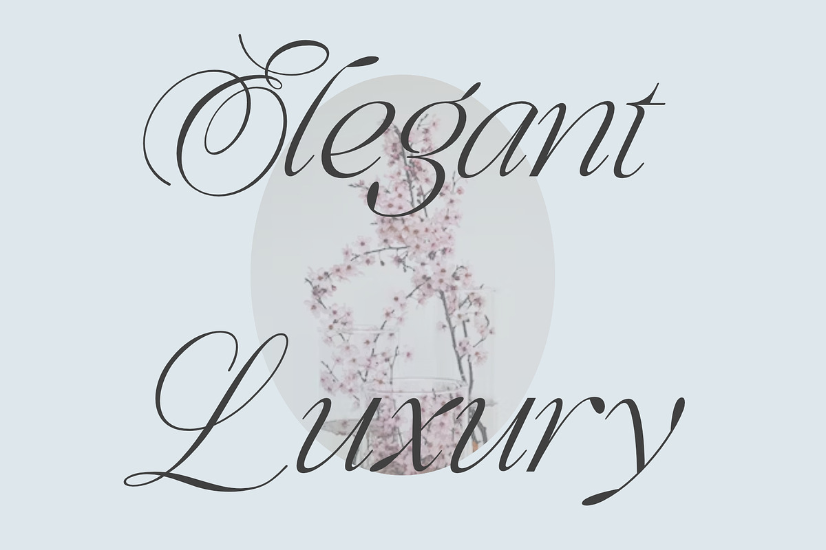 Qidango, a Serif Font by Sealoung (Photo 6 of 17)